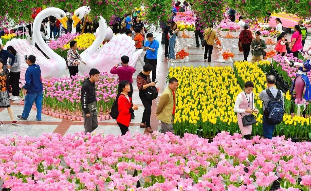 2020广州三八节免费景点,广州三八节哪些景点公园免费