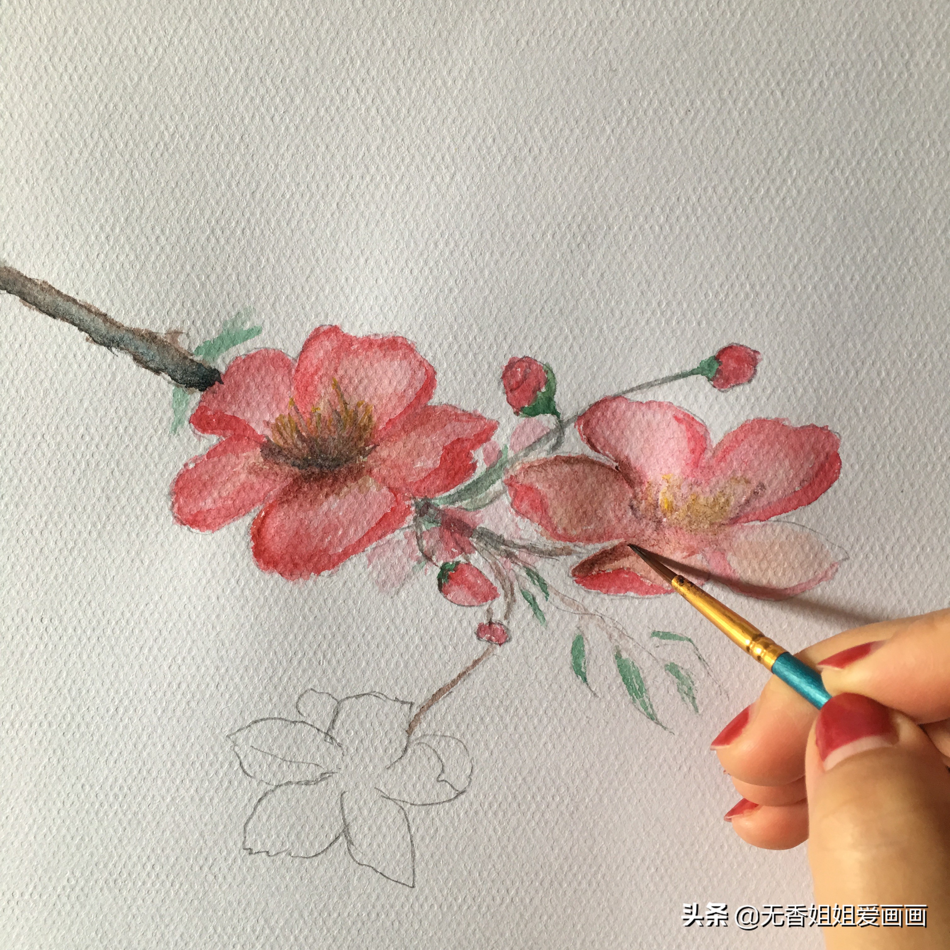 手绘桃花图片小学,马克笔手绘教程桃花