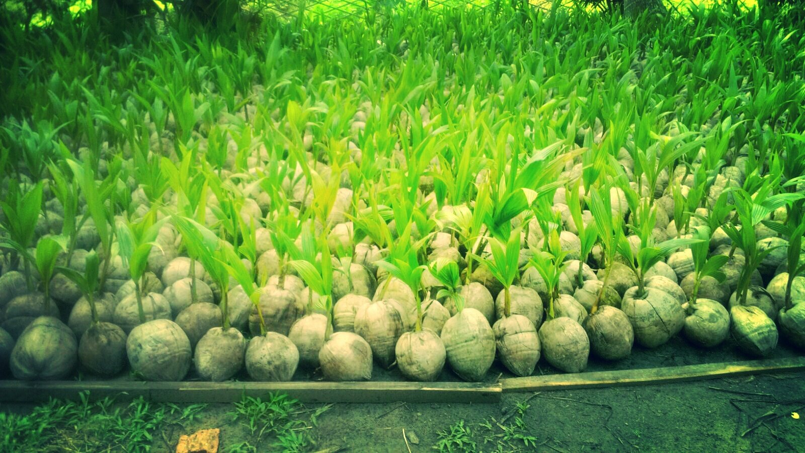 创业就是创造自信,创业才是自己的事业