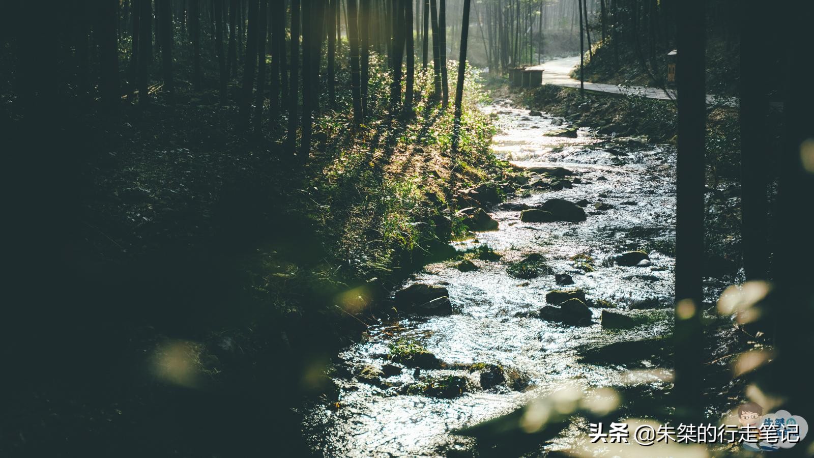 万亩竹海风景区,竹海生态旅游景区免门票