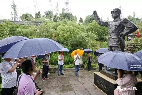 红色新丽水,红色浙西南央视