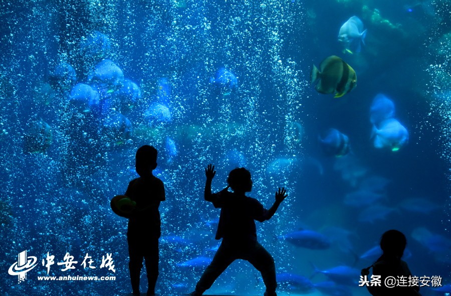 2018，安徽印象「徽镜映像工作室一年图片精选」