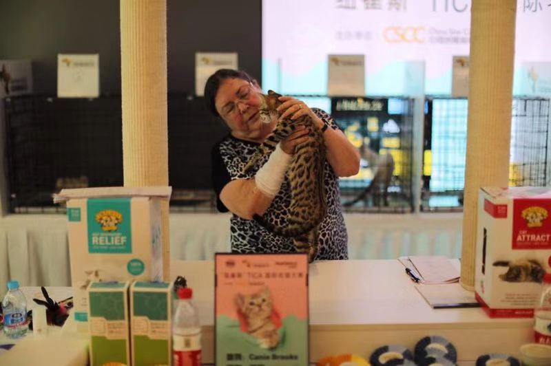 最好看的猫爪杯,猫爪杯好抽吗