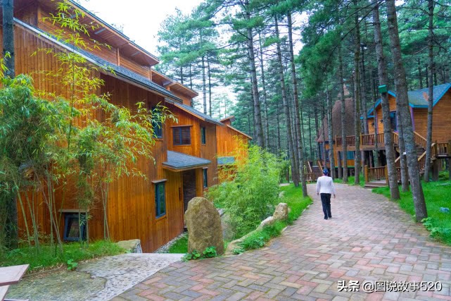 洛阳白云山山顶小木屋价格,洛阳白云山森林小木屋