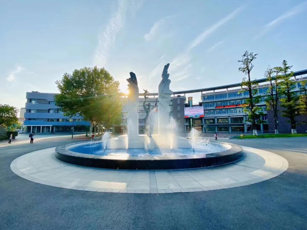 南京河西公办中学,南京河西哪几所学校是公办的