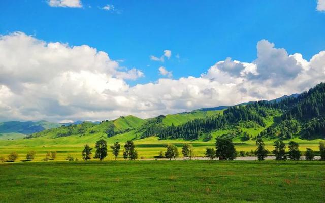 中国最美的八大草原,夏天旅游,与草原最配哦