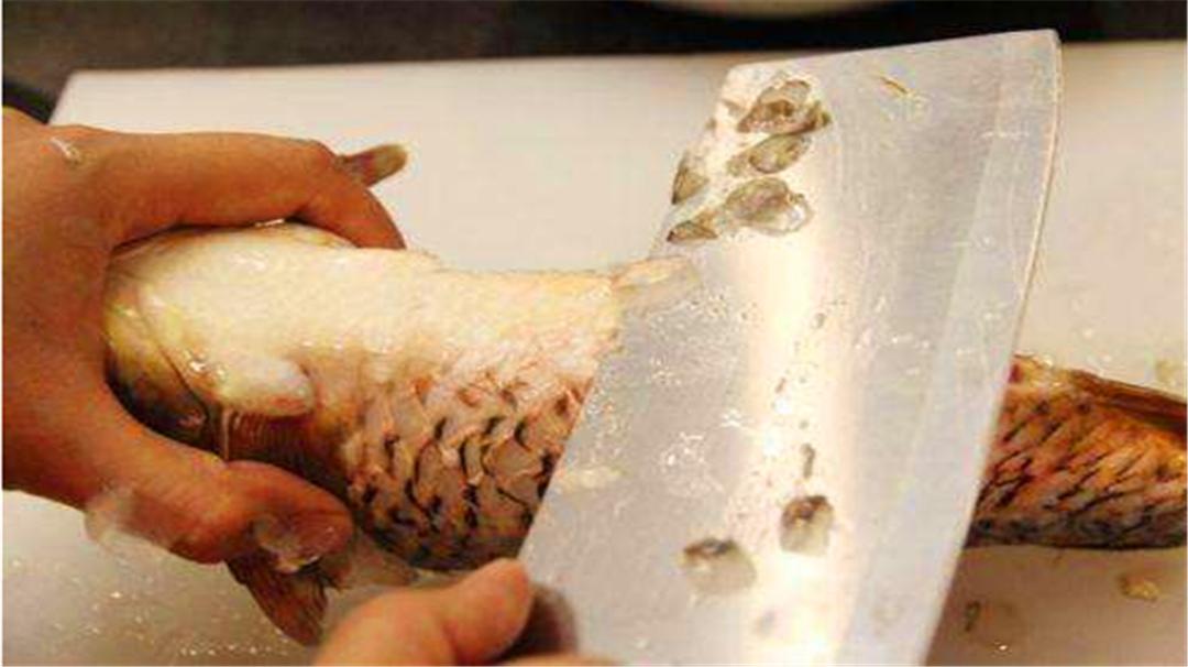 鱼刺扎伤手后感染的是什么菌,干鱼刺扎破手会感染细菌吗