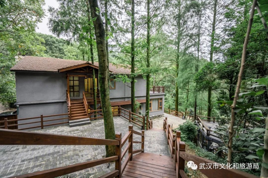 藏在武汉郊野的4家美宿来了，周末晚上来玻璃房看满天繁星