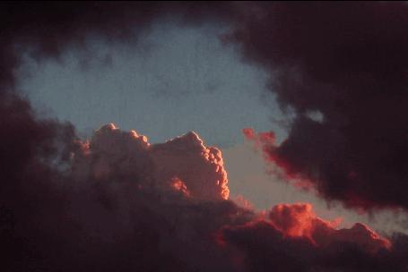 公众人物陈嘉俊对凶手施压牟林翰被抓北大女生包丽自杀事件后续