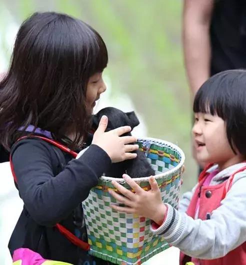 小学生因为数学题分歧报警,孩子因为一道题都生气了