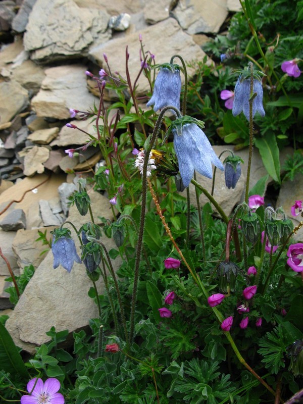 四姑娘山冬日旅行,2022年冬天四姑娘山游记