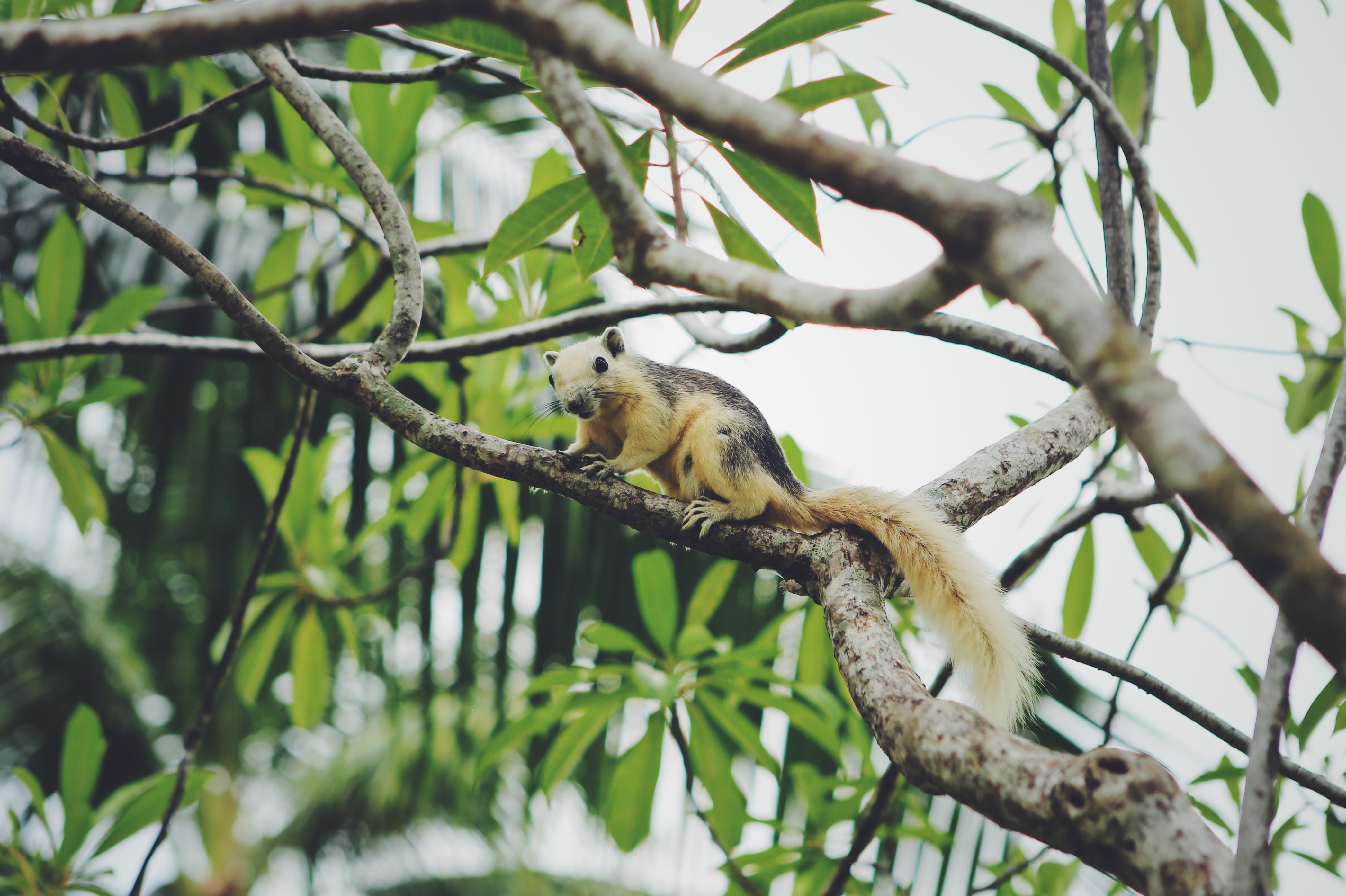 普吉岛三天旅游攻略,普吉岛怎么玩视频