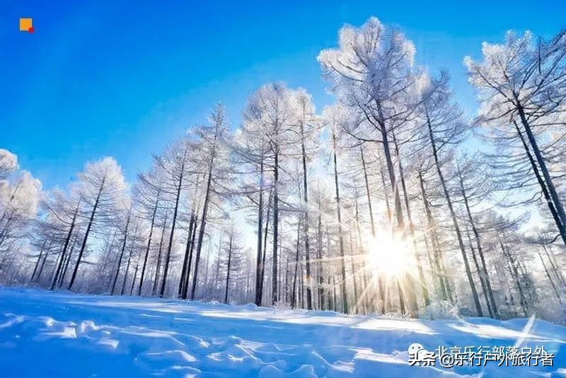 冬天漠河白桦林童话世界完整视频,冰雪大世界长白山雪乡六天五晚