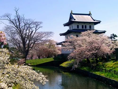北海道赏樱住宿,北海道赏樱手册