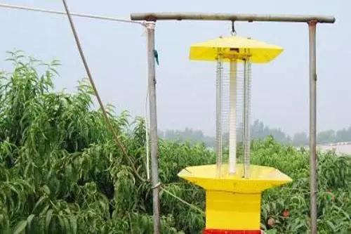 现代落叶果树病虫害防治优质农药,果树在挂果后防治病虫害打什么药