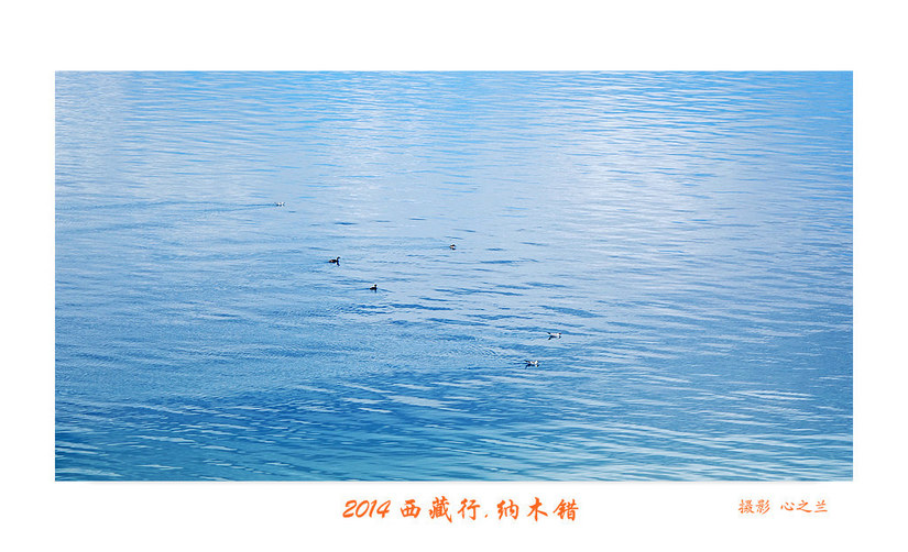 绾虫湪閿欏績涓殑鍦ｅ湴,蹇冮噷鐨勫湥鍦扮撼鏈ㄩ敊