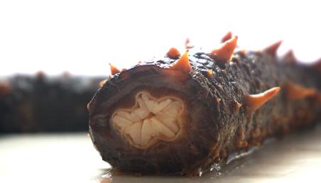 颜颐坊,颜颐坊海参功效