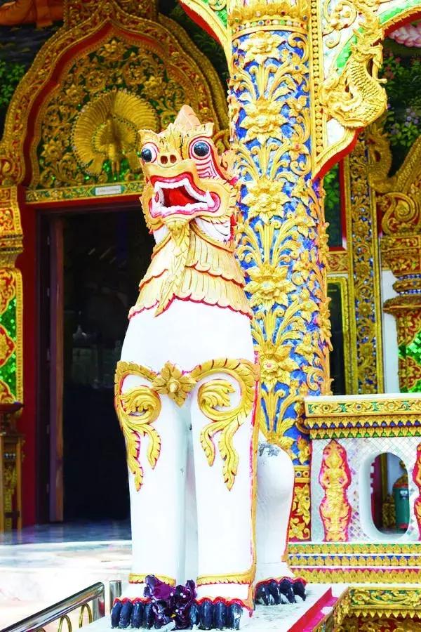 狮子山下,狮子迁徙几千公里