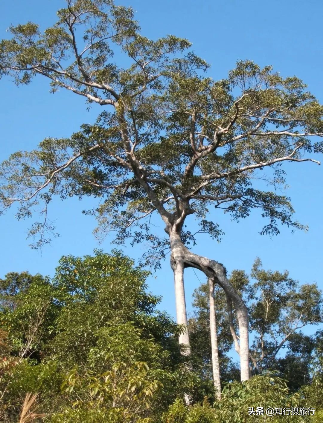 海南环岛自驾游免费景点,海南环岛自驾游游玩攻略