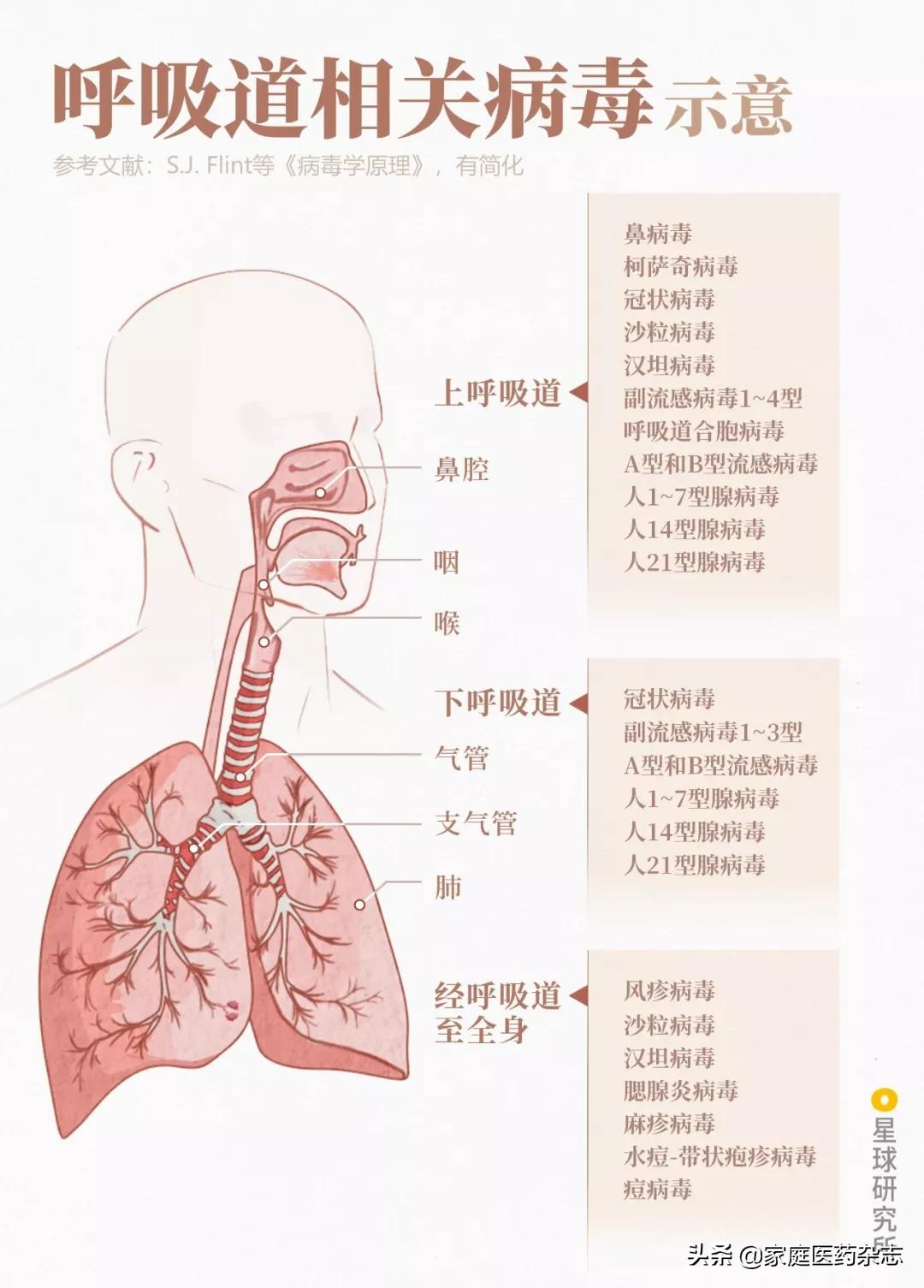 鍋囧鐥呮瘨鎰熸煋浜嗘垜,鍋囧鐥呮瘨鎰熸煋浜嗕綘