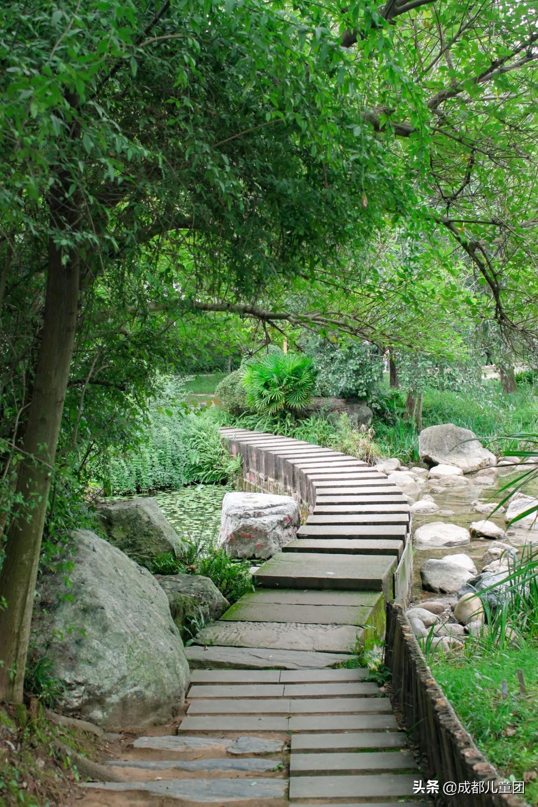 无滤镜公园随拍,无需加滤镜的公园