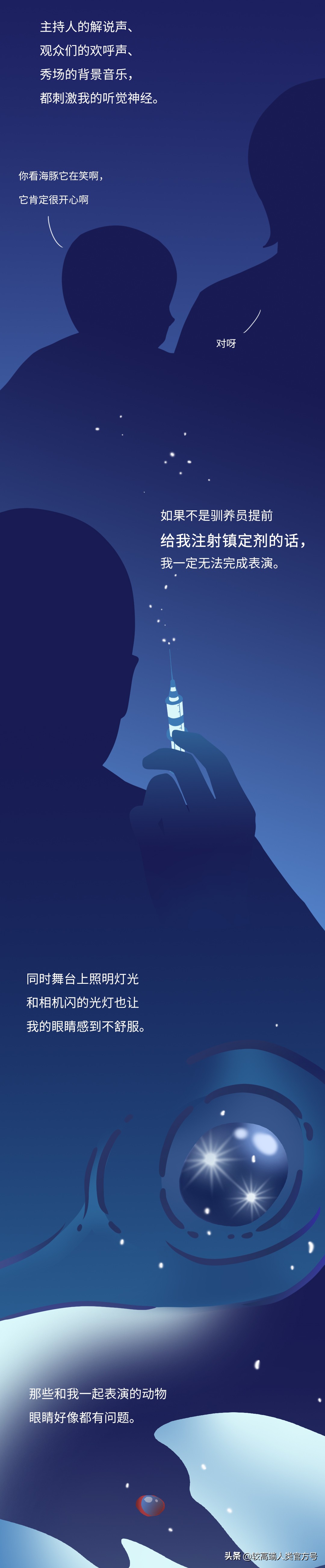 囚禁海豚,海豚表演有多残忍