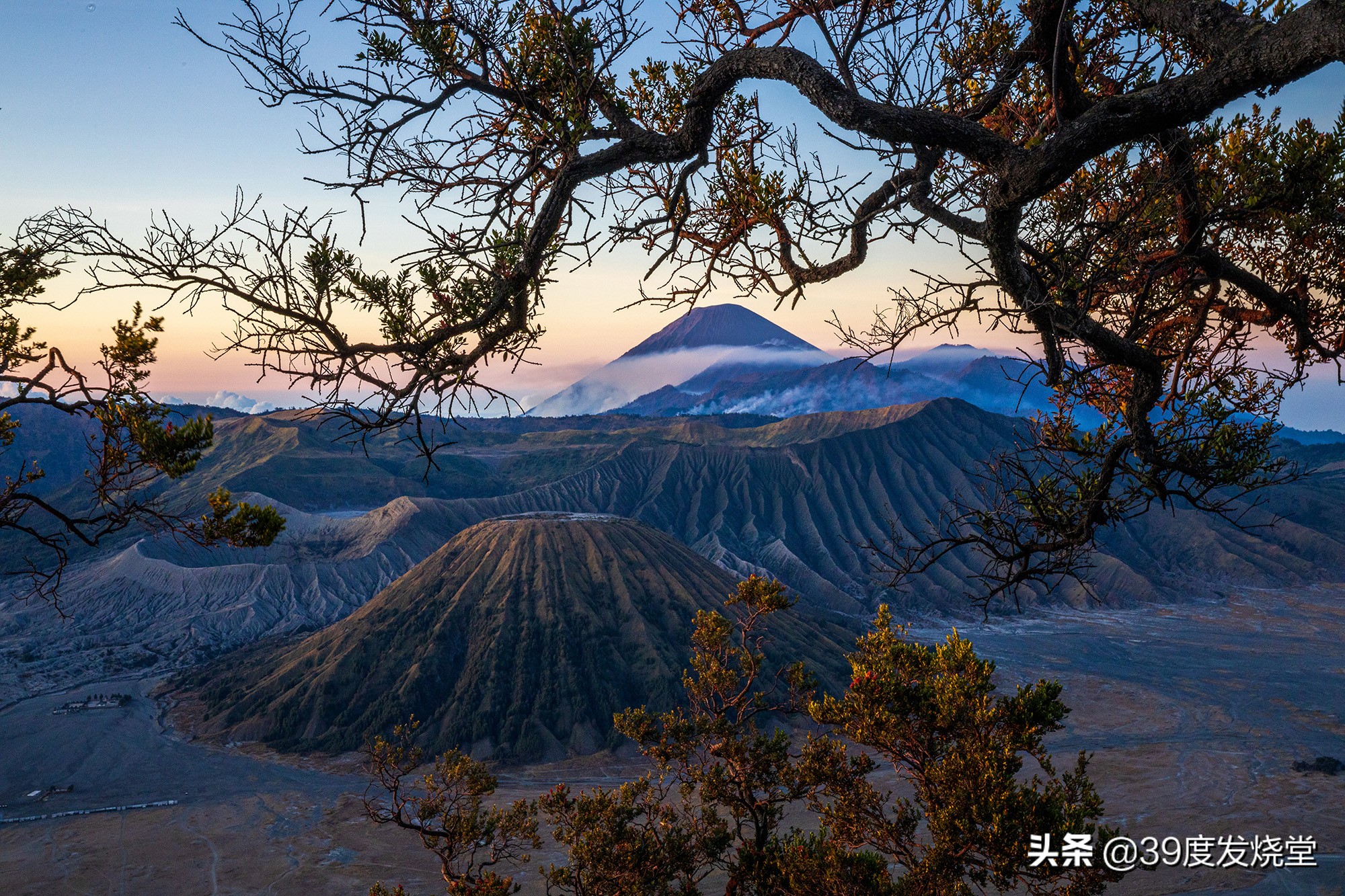 佳能大三元rf24,佳能大三元rf24-70