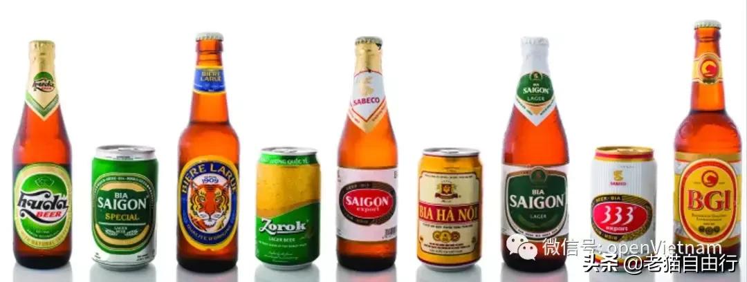 越南旅游自由行攻略详解,越南旅游攻略和自由行攻略