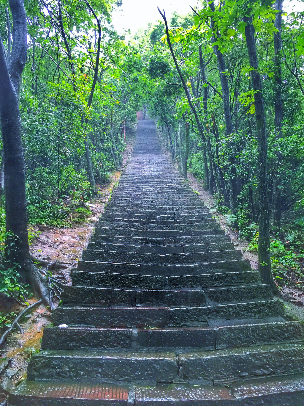 张家界和凤凰古城4天3晚游旅游团,张家界凤凰古城跟团还是自驾游