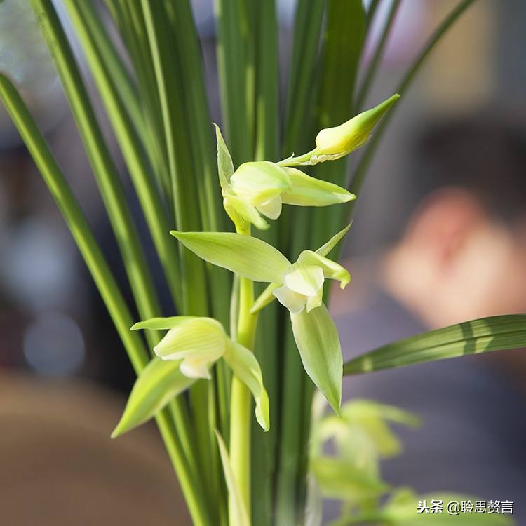 十首顶级哲理诗词名句,经典诗句励志古诗句