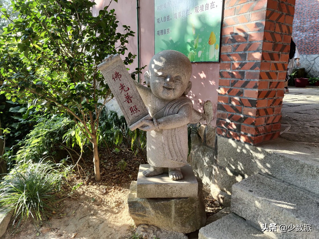 2020年索尼手机用起来如何？Xperia1II体验