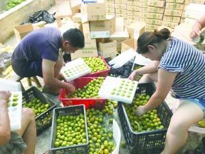 “邮”好最后一公里——清镇市邮政分公司创新培育发展新动能一瞥