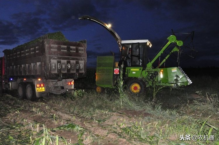 美迪青贮饲料机,美迪青贮机厂家
