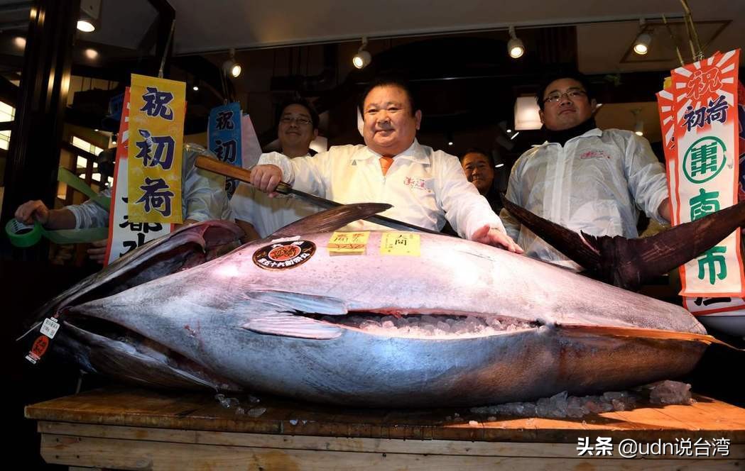 生鱼片与*力暴**团：日本非法“密渔”的暗黑餐桌