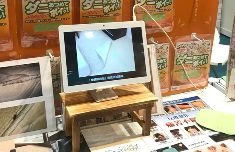 除螨什么东西最好,用什么除螨效果比较好