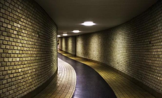 丹麦奥胡斯大学在哪,丹麦大学奥胡斯