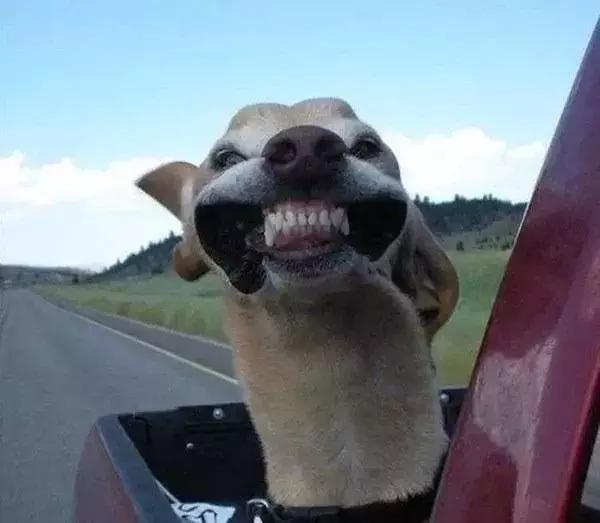 油价迎两连涨,油价将进入“三连涨”