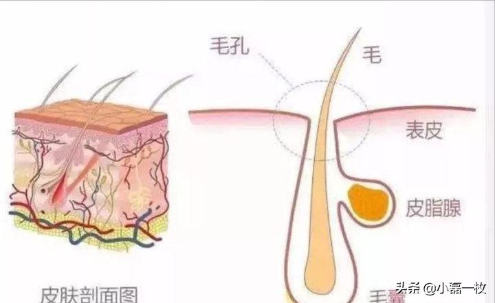 熬夜脸蜡黄暗沉怎么调理,经常熬夜脸色蜡黄喝什么汤水调理