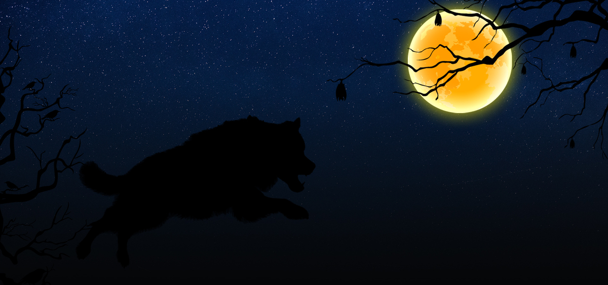 狼人杀手游哪种情况狼王可以开枪,狼人杀手游怎么玩好狼王