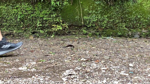 adidas户外鞋terrex推荐,adidasterrex户外跑鞋