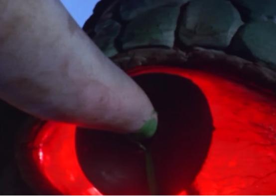 被奥特曼吓到的怪兽有八个,死在怪兽手里的奥特战士