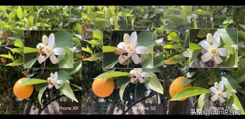 新iphonese像素,新iphonese有慢镜头吗