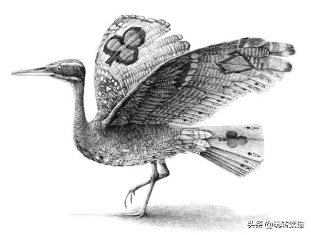 小清新素描黑白插画,看似抽象实则写实的画