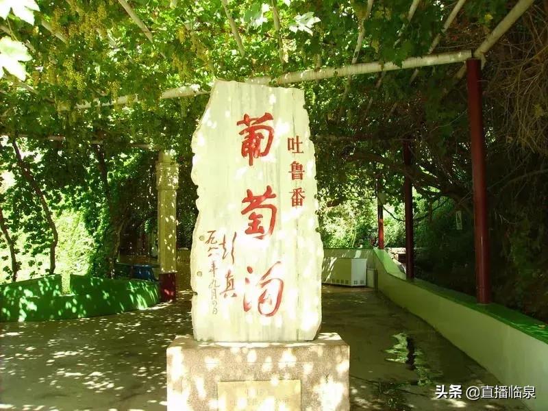 乌鲁木齐直达阜阳的火车,阜阳直达乌鲁木齐的火车