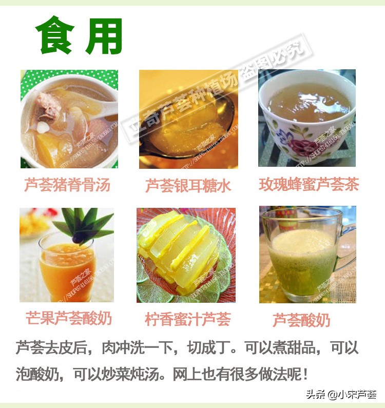 什么是库拉索芦荟？干嘛用的？