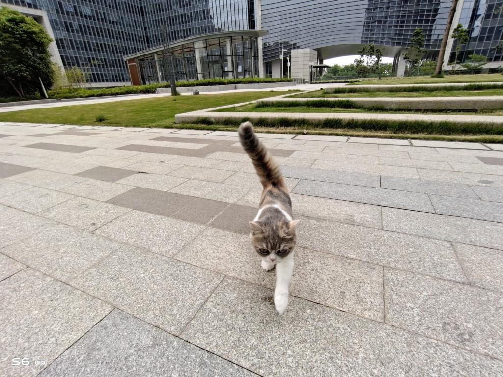 小扎测评|vivoS6：拍照时握在手里的小确幸