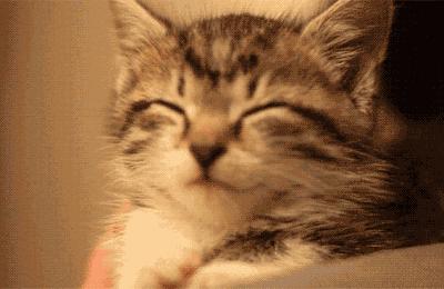 孩子摔跤是缺钙吗,儿童喜欢摔跤和少钙有关系吗