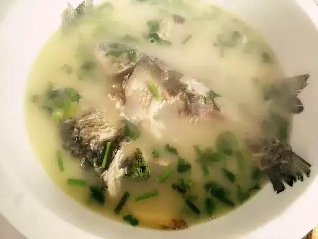 炖鱼鱼汤不白怎么回事,炖鱼汤不白