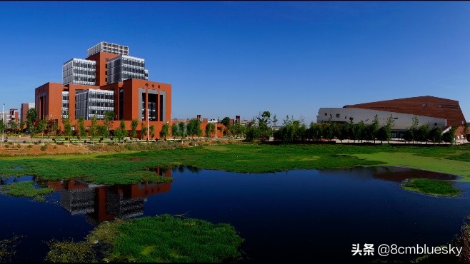 学医不代表什么都懂,学医不从医好吗