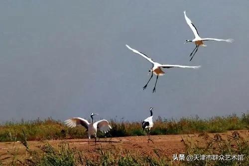 小云带你去旅行丽江详细攻略,8月威宁草海游